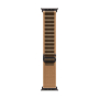 Apple Watch Ultra 4, 49 мм корпус из титана цвета «Black», ремешок Alpine Loop цвета «Desert» размера S