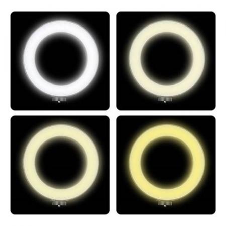 Селфи кольцо 26 см 10“ SL- 26E с держателем, без штатива (IS123122)