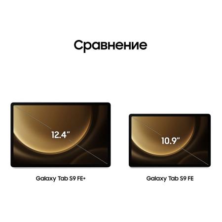 Samsung Galaxy Tab S9 FE+ 12,4" Wi-Fi 8/128Gb Silver, серебристый