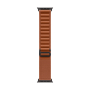 Apple Watch Ultra 3 (2025), 49 мм корпус из титана цвета «Black», ремешок Alpine Loop размера L цвета «Terra Cotta» Apple Watch Ultra 3 (2025), 49 мм корпус из титана цвета «Black», ремешок Alpine Loop размера L цвета «Terra Cotta»