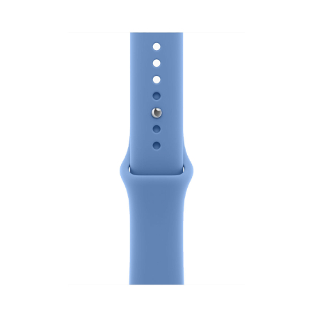 Apple Watch Series 12, 46 мм корпус из алюминия цвета «Space Gray», ремешок Sport Band размера M/L цвета «Wildflower Blue»