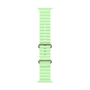 Apple Watch Ultra 3 (2025), 49 мм корпус из титана цвета «Natural», ремешок Ocean Band цвета «Neon Green» Apple Watch Ultra 3 (2025), 49 мм корпус из титана цвета «Natural», ремешок Ocean Band цвета «Neon Green»