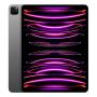 Apple iPad Pro 12,9" (M2, 2022, 6 gen) Wi-Fi 512Gb Space Gray, «серый космос»