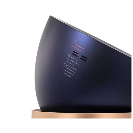 Очиститель Dyson Purifier Big+Quiet Formaldehyde (BP04) Prussian Blue\Gold синий\золотой